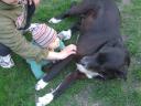 dscf4701.JPG