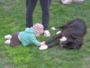 dscf4710.JPG