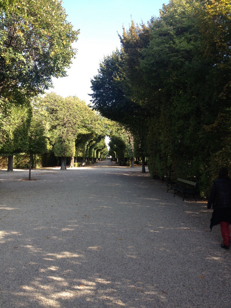 20130929-093244.jpg